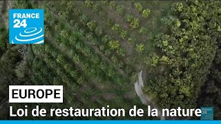 Loi de restauration de la nature : un texte clé du Pacte vert de l'UE • FRANCE 24