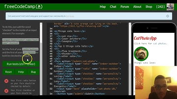 Check Radio Buttons and Checkboxes by Default, freeCodeCamp review html & css, lesson 34