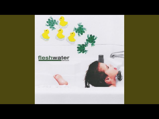 FLESHWATER - WHAT WAS REALLY SAID