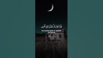 سورة المائدة | للقارئ #ياسر_الدوسري #قرآن #تلاوة_خاشعة