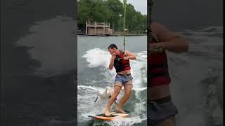 лебедь напал на сёрфингиста