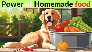 Top 10 Health Benefits of Homemade Dog Food! by New Pet Society - Pet Life 9 views 5 months ago 2 minutes, 37 seconds