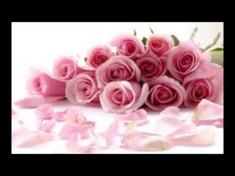 عبدو أصالة نصري ليه كل الناس