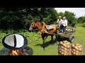 AZERBAIJAN RURAL LIFE LIVE 🔴 Grandma and Grandpa's WONDERFUL Delicious Day