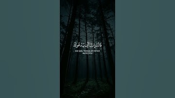 سورة_القصص||حالات واتس قرآن || تلاوة الشيخ #محمد_الغزالي