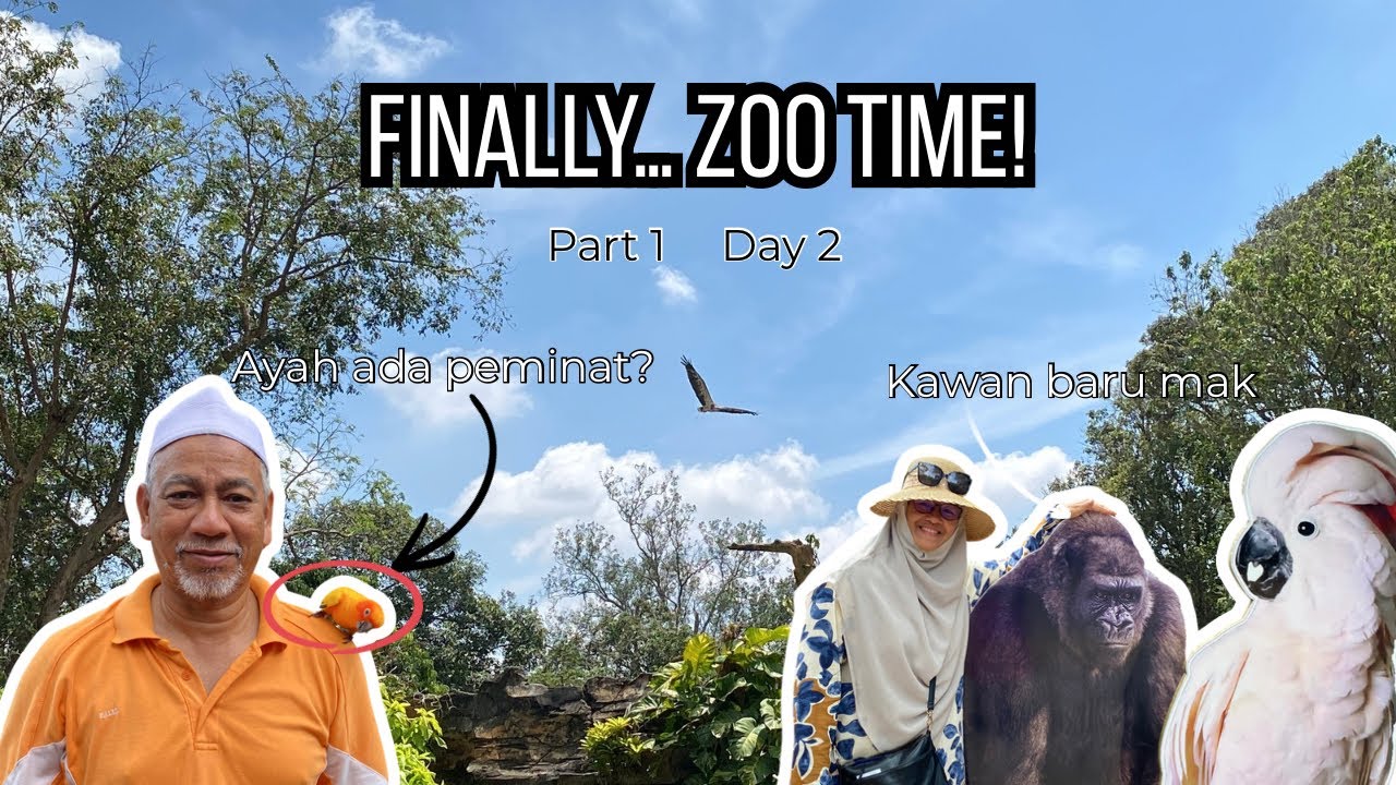 Finally… Zoo Time! | part 1 | Day 2