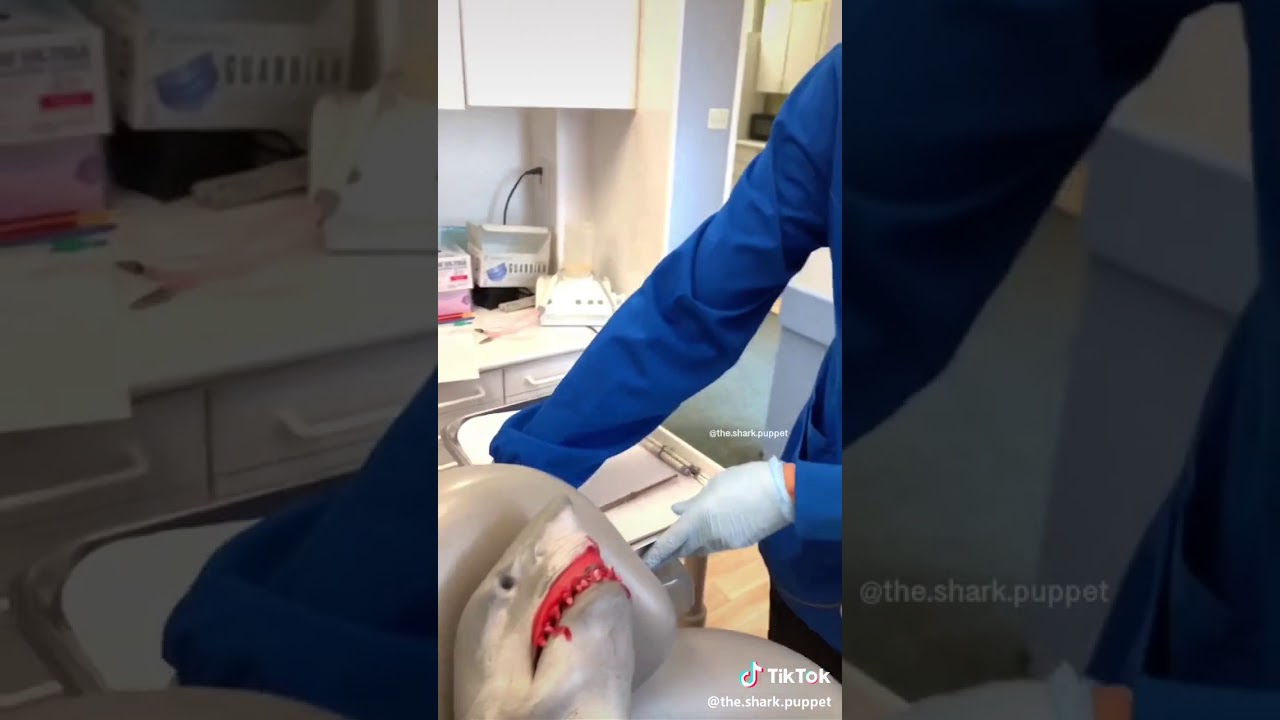 Shark puppet Dentist - YouTube