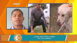 ¿Cómo detectar la rabia en los caninos?