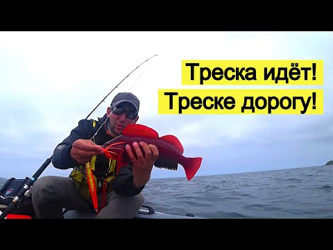 Видео: Треска идёт! Треске дорогу!