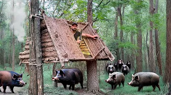 Building a hanging shelter from clay to escape from a wild boar