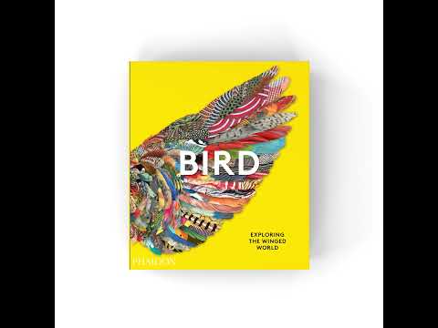 Bird: Exploring the Winged World