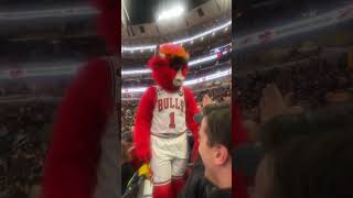 Benny The Bull Almost Beats Up Fan