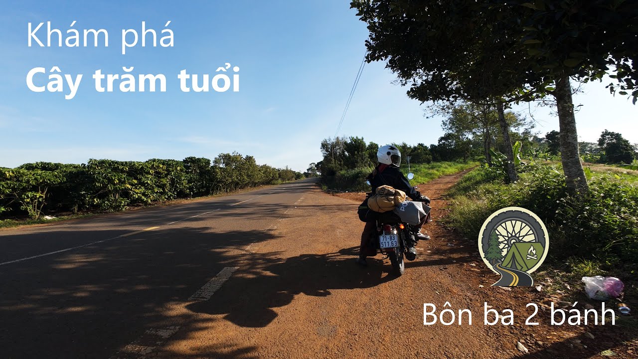 Khám phá cây trăm tuổi | Tập 1 Phượt Đà Lạt cuối năm | DT725 | Vietnam motocycle trip