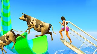 Anita, Cow, Michael & Amanda Funny Water Slide #1