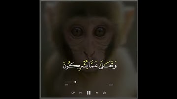وربك يخلق ما يشاء حالات واتس قرآن كريم