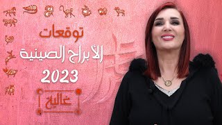 توقعات الابراج الصينية بعام  ٢٠٢٣، عام الهر الصيني