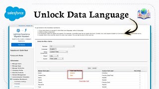 How to enable data translation in salesforce (Field Labels)