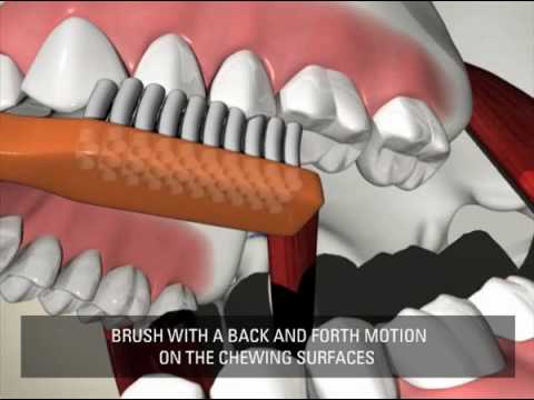 How to Brush & Floss Teeth Dr Michelle To' Pediatric DDS Sherman Oaks,Ca