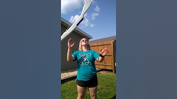 Rifle Butt Toss - Spintronix Shorts