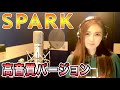 【Rinaソングス】再アップ!高音質バージョン!『SPARK』 愛内里菜セルフカヴァー歌ってみた!