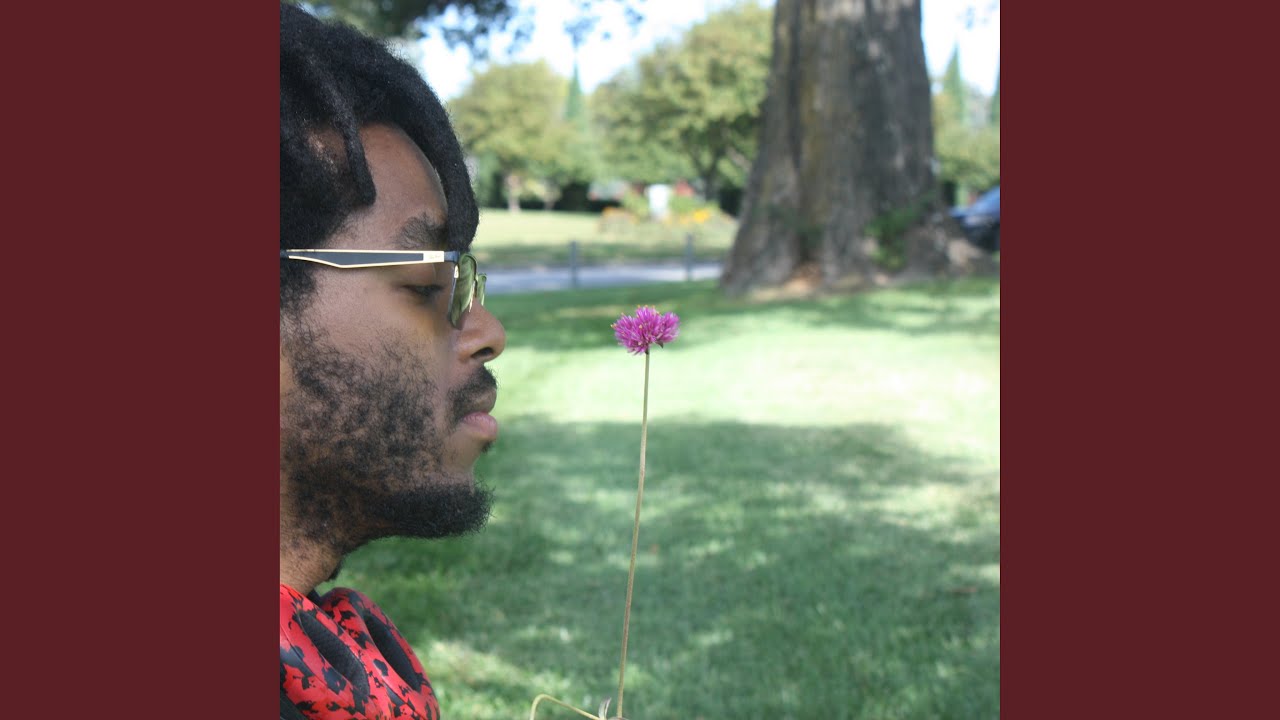 Warmth of a Thousand Flames