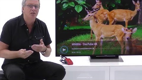 Testing input lag for 2016 TVs - coming soon at Marks Electrical...