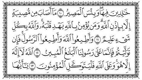 سورة التغابن 64  At Taghaabun   قاری برکت الله سلیم