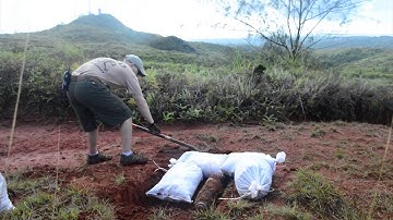 EOD Mobile Unit 5 Detachment Marianas Renders a Piece of Ordnance Safe.