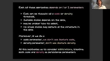 Michael Lesnick (2/23/2022): Stability of 2-Parameter Persistent Homology