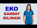 #169 EKO QANDAY QILINADI? BEPUSHTLIKNI ZAMONAVIY DAVOSI