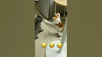 احنا اسفين يا صلاح ههههههخ 