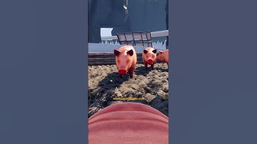 🐷 Making a VR Game - TRUE Pig Sim 2024 Reboot! #vrgaming  #devlog #shorts May 22, 2024