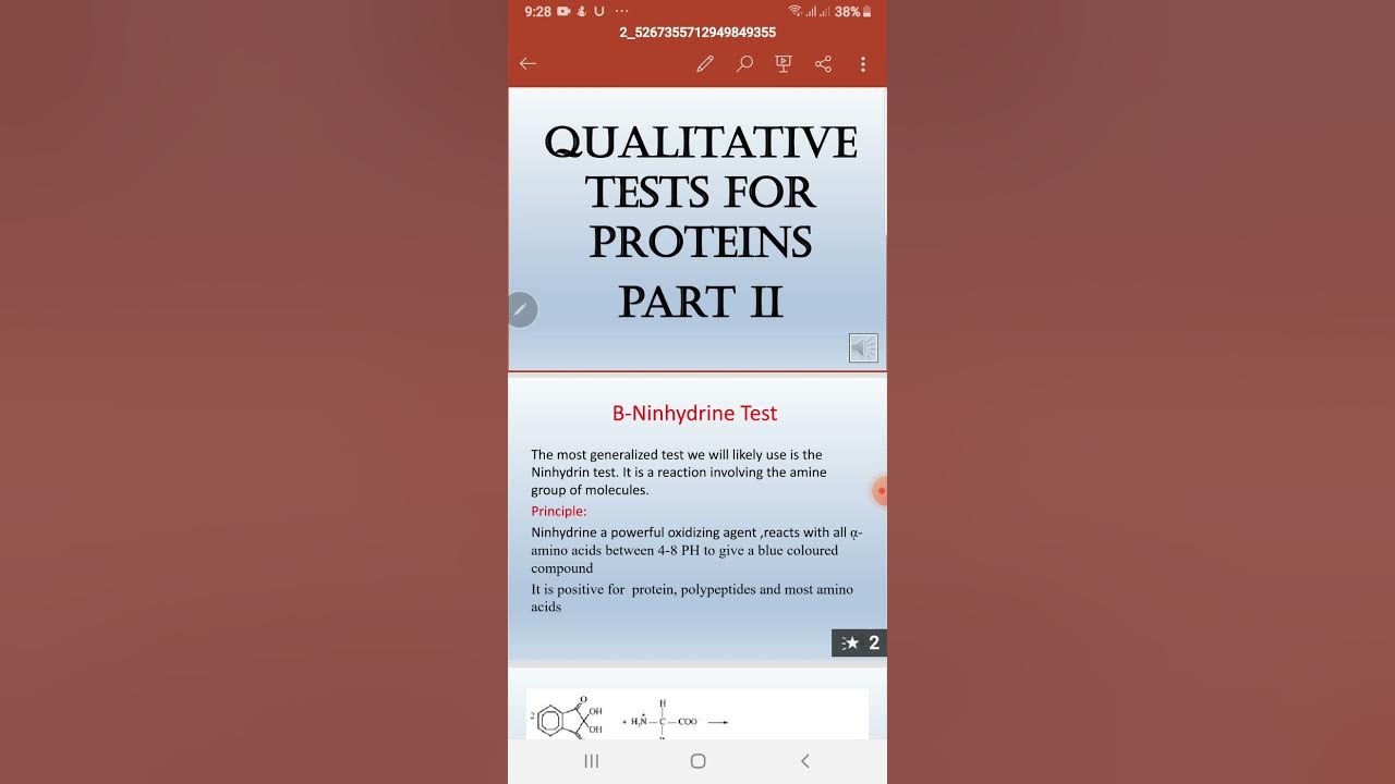 Chemistry / practical lab 9 / Qualitative test for proteins part 2 / DR