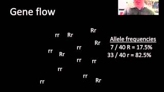 Modern evolutionary forces