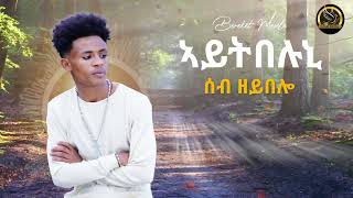 Bereket Mesele – Seb Zeybelo - ሰብ ዘይበሎ- New Eritrean Music 2023 - (Official Audio) Sham Media