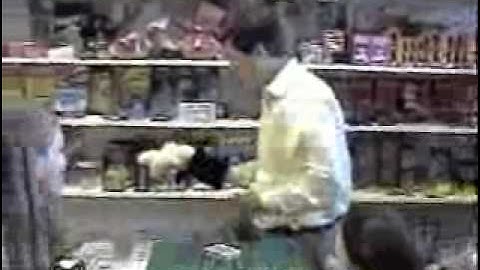 Rabbit In The Hat Puppet