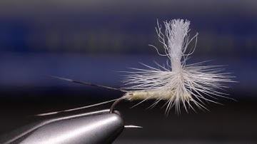 Light Cahill Parachute