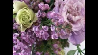 Sigur Ros - Hoppipolla (Instrumental)