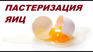 Можно ли есть сырые яйца? 🍳Пастеризация яиц