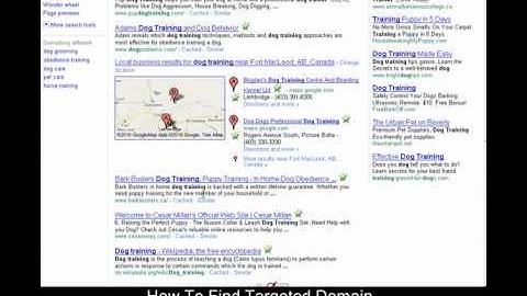 Find Targeted domains.mp4