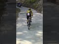  le moment o roglic a failli tout perdre shortscycling shorts giro