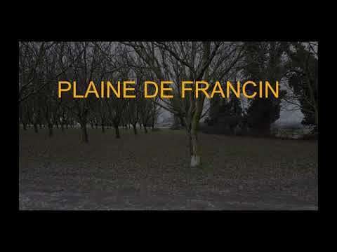 PLAINE DE FRANCIN