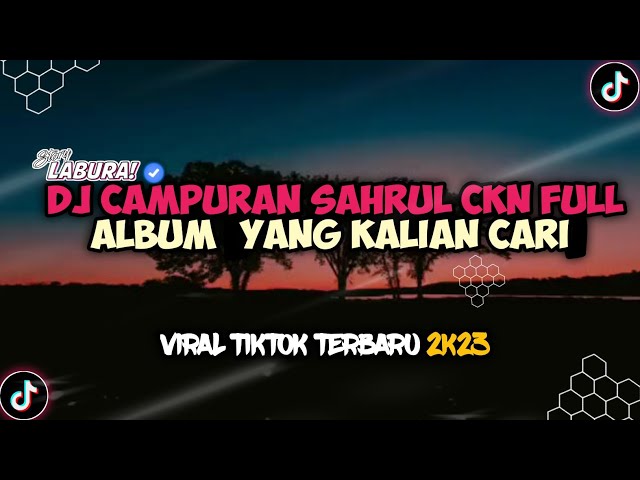 DJ CAMPURAN SAHRUL CKN FULL ALBUM [YANG KALIAN CARI] VIRAL TIK-TOK 2K23 class=