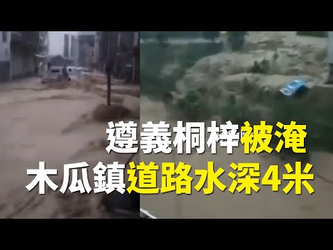 贵州接连暴雨多镇被淹 木瓜镇道路水深4米(图集)