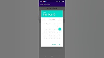 Kotlin Date And Time Picker Dialog Example Output