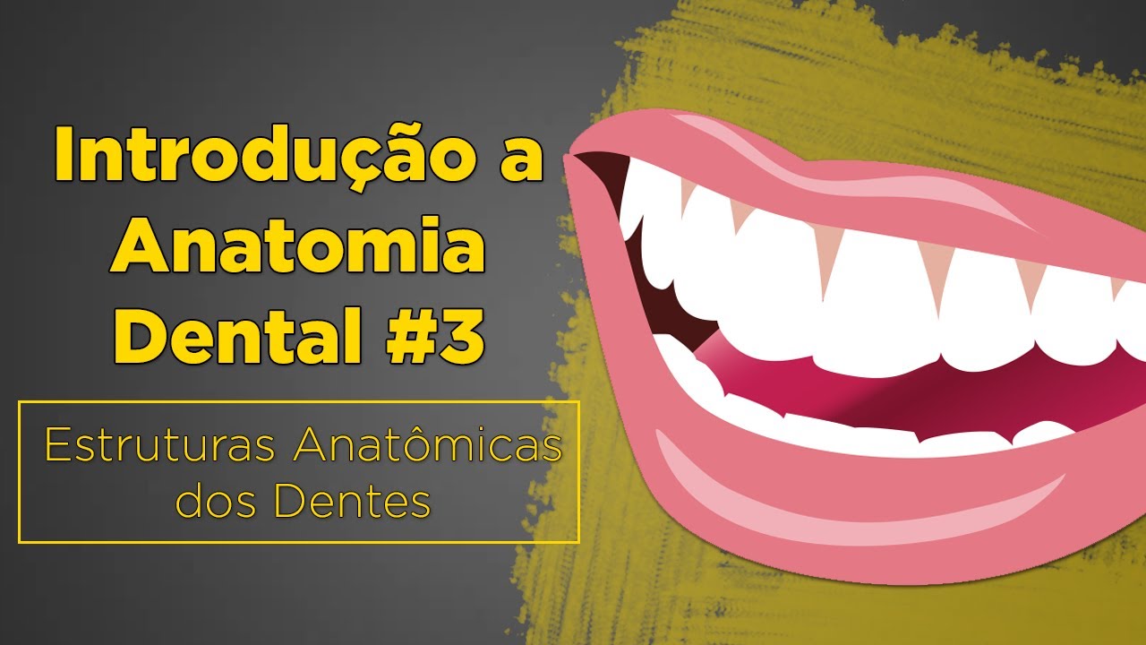 Estruturas dos Dentes Cíngulo, Cúspide, Ponte de Esmalte e MAIS