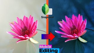 Lotus flower Blue Color Tone Editing Tutorial | Snapseed Editing tips | Lotus flower | MŚ Editz screenshot 4