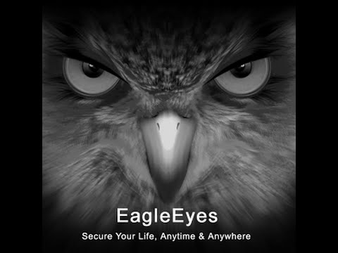 Eagle eyes software for avtech mac