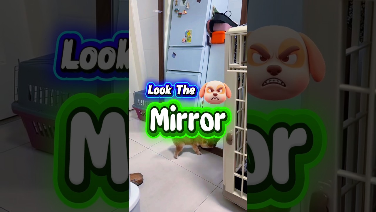 Look The Mirror 