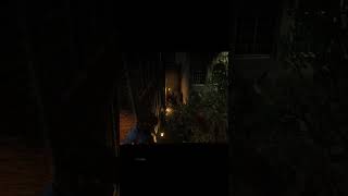 vampire ended it with a thrown tomahawk on a rooftop #rdr2 #reddeadredemption #pcgaming #shorts